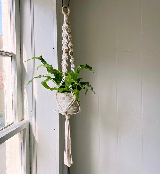 11/16 Macrame Plant Hanger with Megan Burrows