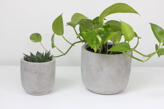 7" Round Concrete Indoor Planter Pot