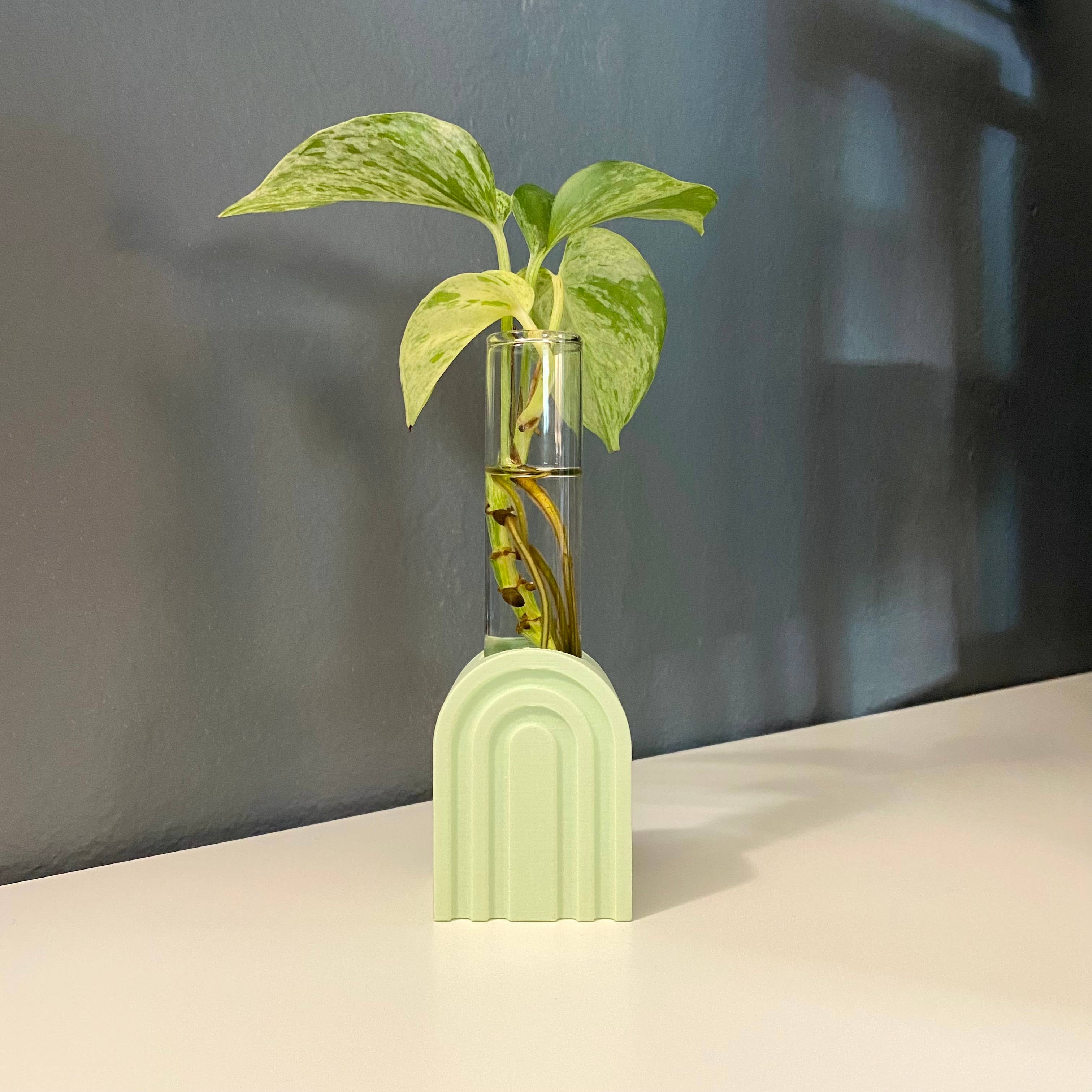 Archie Propagation Stand, 3D Printed Propagation Station – Burrow & Vine
