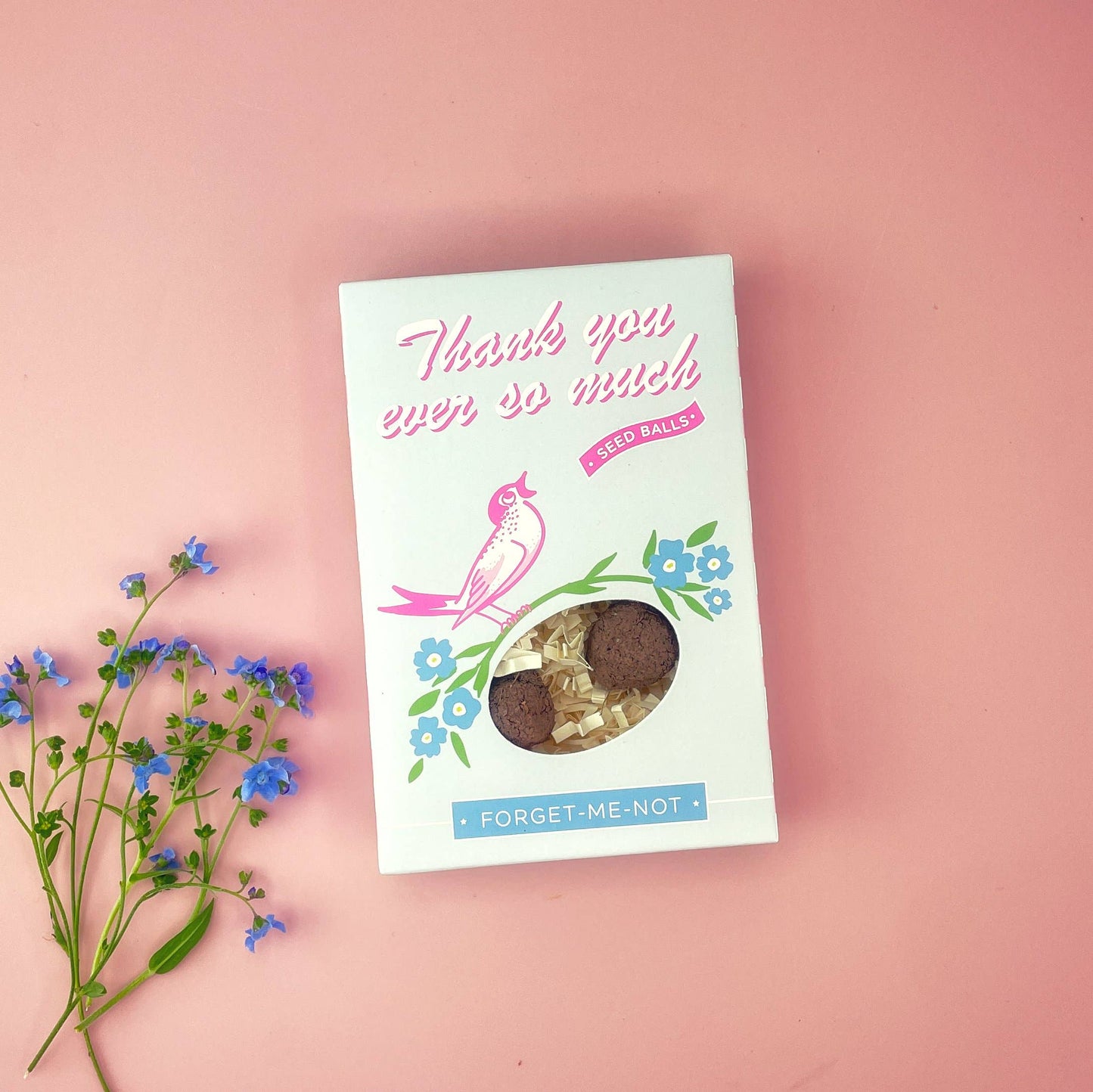Thank You So Much Forget-Me-Not Garden Seed Ball Gift Box