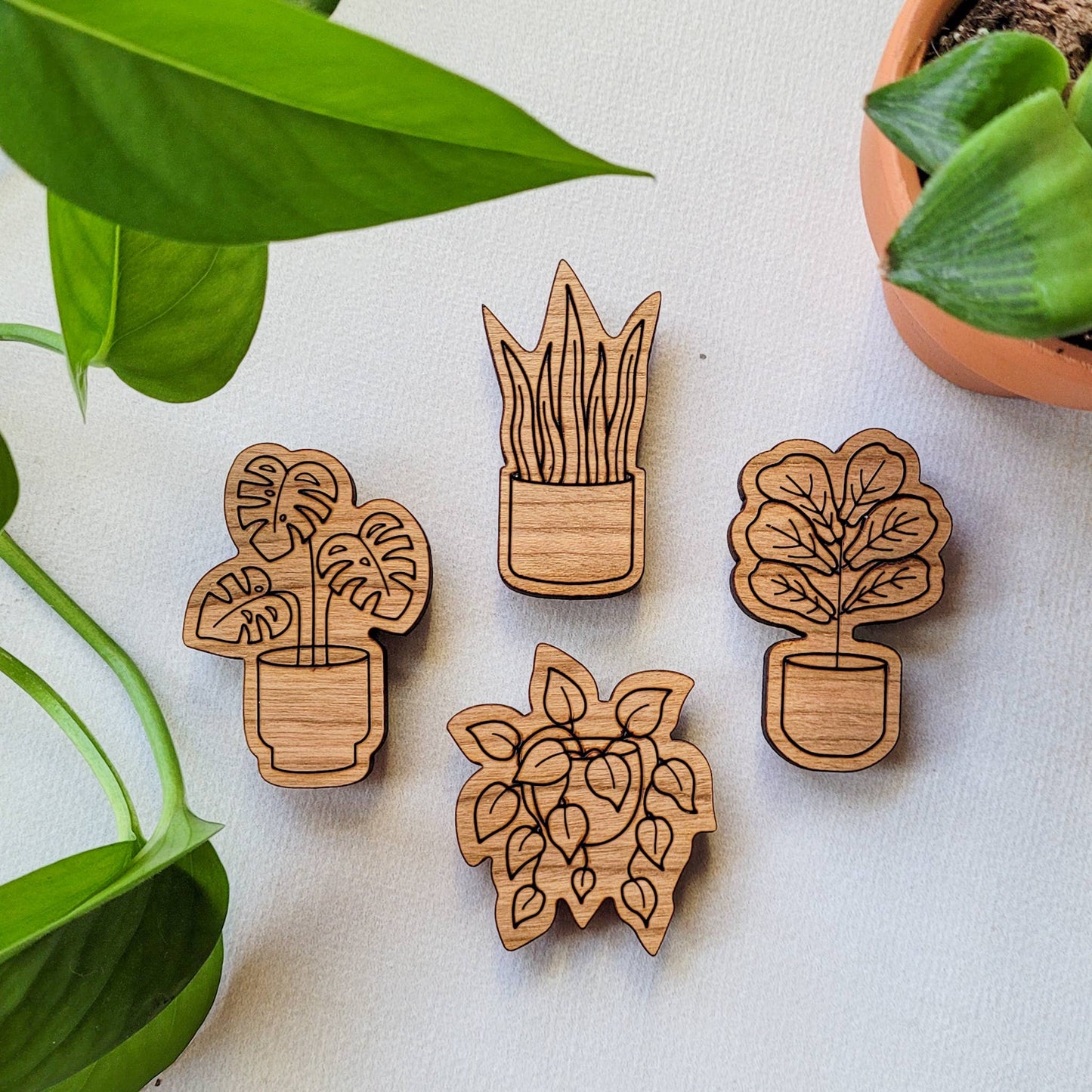 Houseplant Magnets (Sets of 4) - Wood Engraved