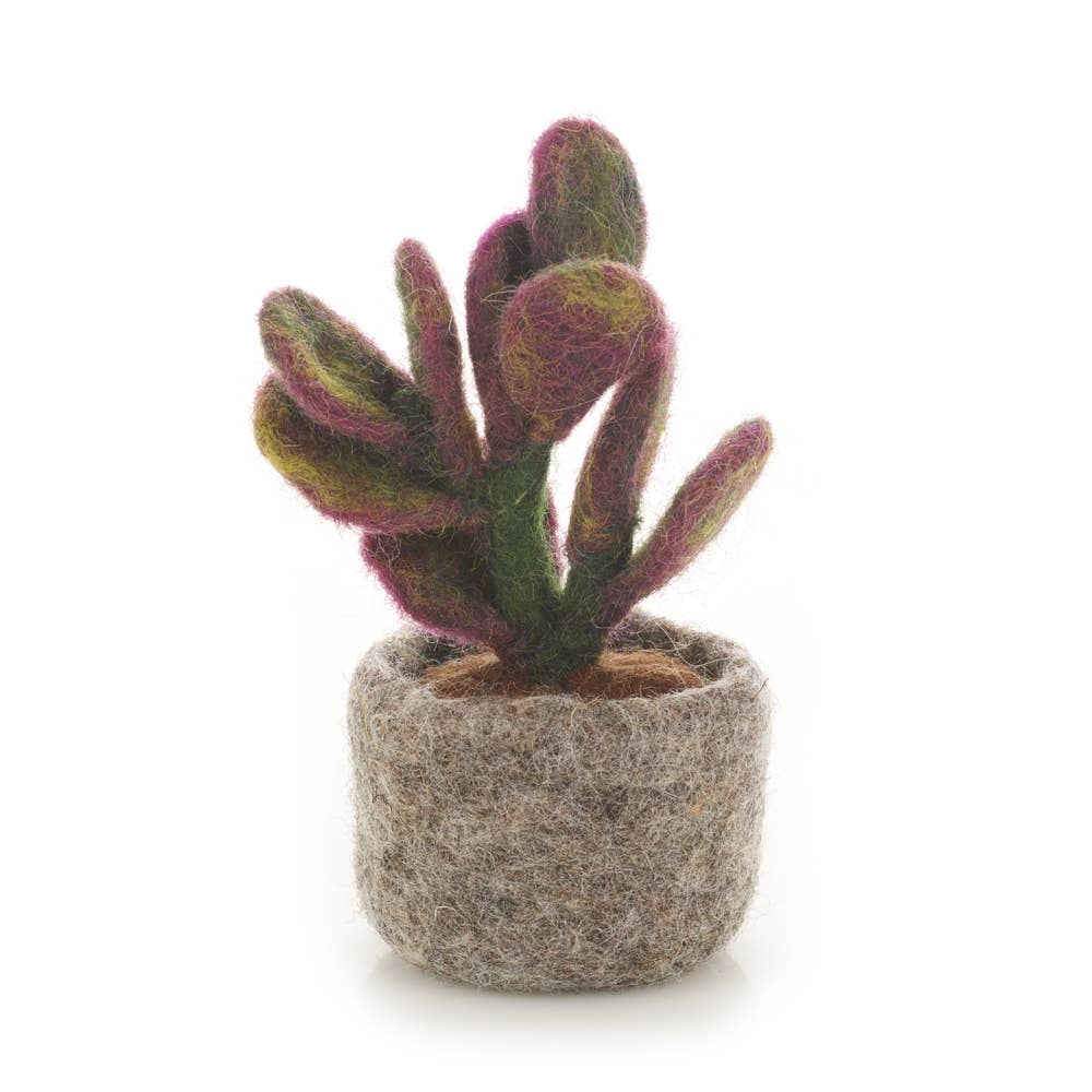 Felt Mini Plant Decoration